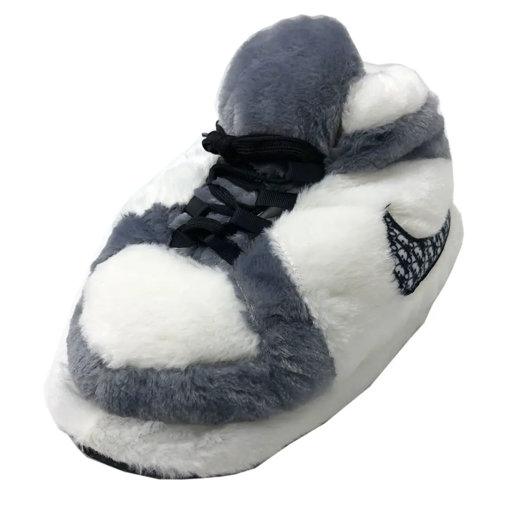 chaussons-jordan-dior-4